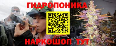 ALPHA-PVP Кудрово