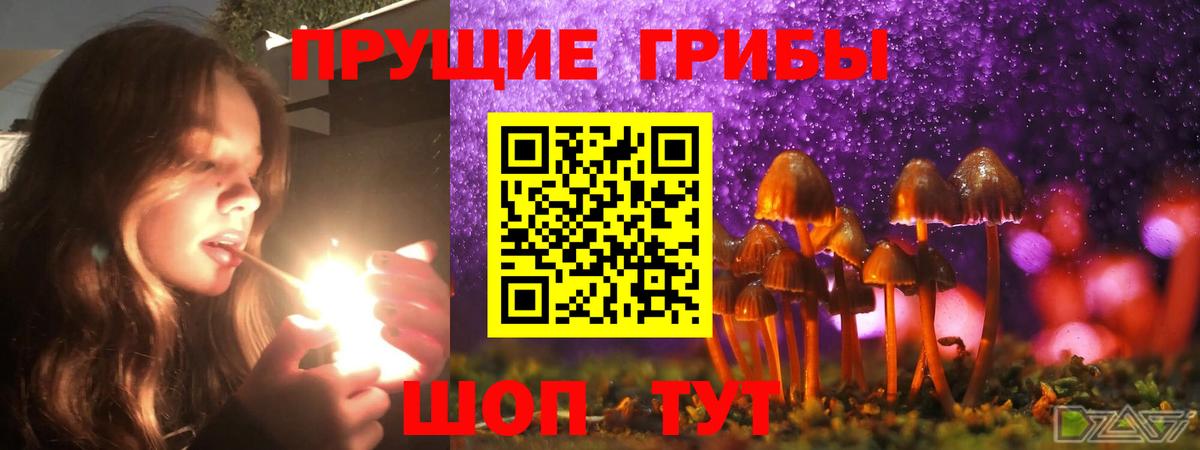 Гуково  Псилоцибиновые грибы Psilocybe  Вход с VPN  Галлюциногенные грибы мицелий 